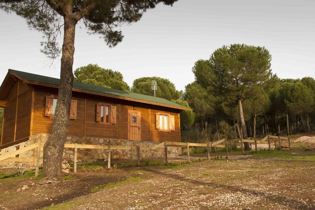 Apartamentos Paraje San Gines Andújar Exteriör bild