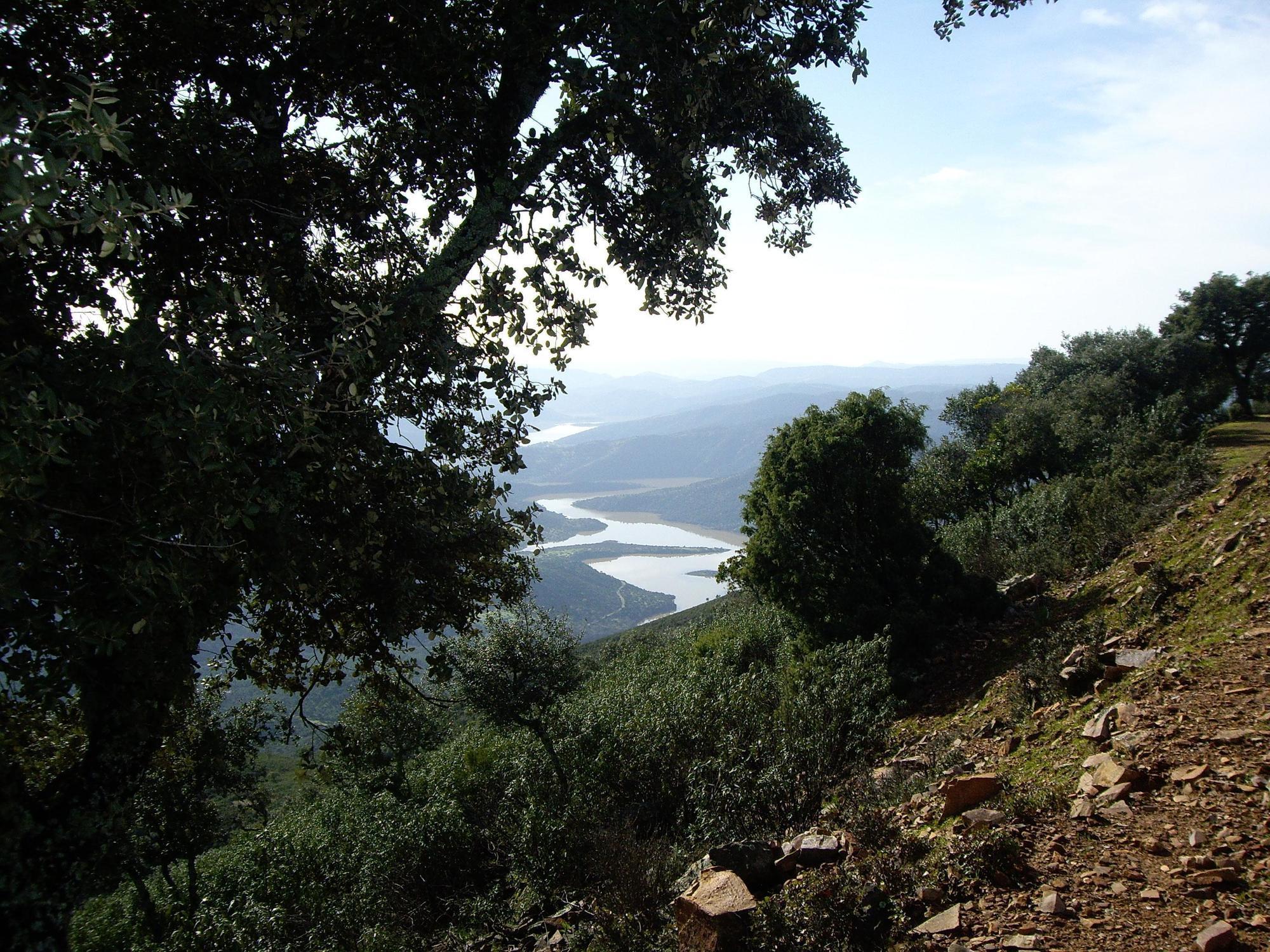 Apartamentos Paraje San Gines Andújar Exteriör bild