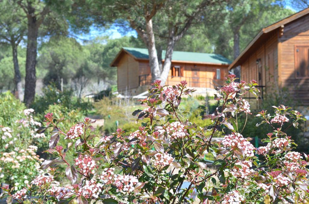 Apartamentos Paraje San Gines Andújar Exteriör bild