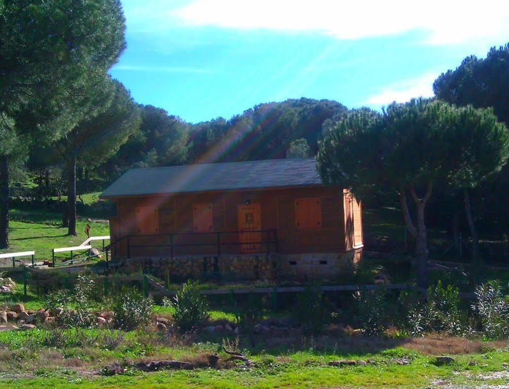Apartamentos Paraje San Gines Andújar Exteriör bild