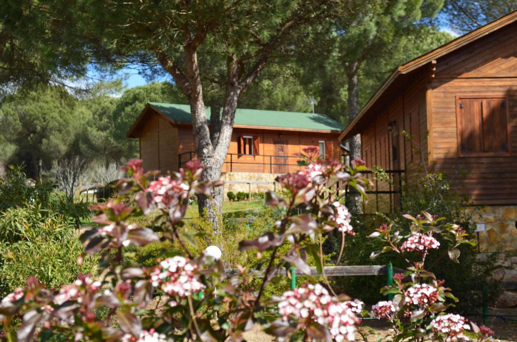 Apartamentos Paraje San Gines Andújar Exteriör bild